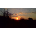 Zdjęcia użytkowników Asus Fonepad 7 Dual SIM