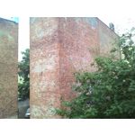 Zdjęcia użytkowników Asus Fonepad 7 ME372CL