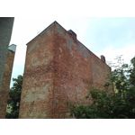 Zdjęcia użytkowników Asus Fonepad 7 ME372CL