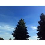 Zdjęcia użytkowników Asus Fonepad 7 ME372CL