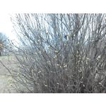 Zdjęcia użytkowników Asus Fonepad 8 FE380CG Zdjęcia użytkowników Asus Fonepad 8 FE380CG