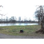 Zdjęcia użytkowników Asus Fonepad 8 FE380CG Zdjęcia użytkowników Asus Fonepad 8 FE380CG