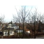 Zdjęcia użytkowników Asus Fonepad 8 FE380CG Zdjęcia użytkowników Asus Fonepad 8 FE380CG