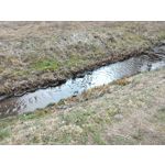 Zdjęcia użytkowników Asus Fonepad 8 FE380CG Zdjęcia użytkowników Asus Fonepad 8 FE380CG