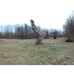 Zdjęcia użytkowników Asus Fonepad 8 FE380CG Zdjęcia użytkowników Asus Fonepad 8 FE380CG