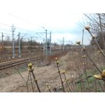 Zdjęcia użytkowników Asus Fonepad 8 FE380CG Zdjęcia użytkowników Asus Fonepad 8 FE380CG