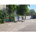 Zdjęcia użytkowników Asus ZenFone 10 Zdjęcia użytkowników Asus ZenFone 10