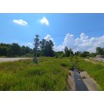 Zdjęcia użytkowników Asus ZenFone 10 Zdjęcia użytkowników Asus ZenFone 10