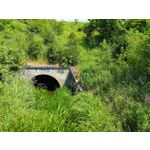 Zdjęcia użytkowników Asus ZenFone 10 Zdjęcia użytkowników Asus ZenFone 10