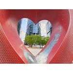 Zdjęcia użytkowników Asus ZenFone 10 Zdjęcia użytkowników Asus ZenFone 10