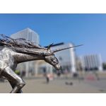 Zdjęcia użytkowników Asus ZenFone 10 Zdjęcia użytkowników Asus ZenFone 10