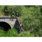 Zdjęcia użytkowników Asus ZenFone 10 Zdjęcia użytkowników Asus ZenFone 10