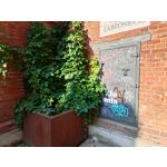 Zdjęcia użytkowników Asus ZenFone 10 Zdjęcia użytkowników Asus ZenFone 10