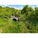 Zdjęcia użytkowników Asus ZenFone 10 Zdjęcia użytkowników Asus ZenFone 10