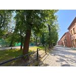 Zdjęcia użytkowników Asus ZenFone 10 Zdjęcia użytkowników Asus ZenFone 10