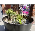 Zdjęcia użytkowników Asus ZenFone 10 Zdjęcia użytkowników Asus ZenFone 10