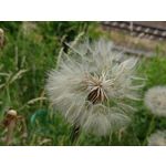 Zdjęcia użytkowników Asus ZenFone 10 Zdjęcia użytkowników Asus ZenFone 10