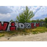 Zdjęcia użytkowników Asus ZenFone 10 Zdjęcia użytkowników Asus ZenFone 10