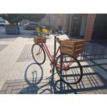 Zdjęcia użytkowników Asus ZenFone 10 Zdjęcia użytkowników Asus ZenFone 10