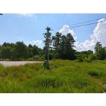 Zdjęcia użytkowników Asus ZenFone 10 Zdjęcia użytkowników Asus ZenFone 10