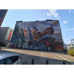 Zdjęcia użytkowników Asus ZenFone 10 Zdjęcia użytkowników Asus ZenFone 10