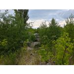 Zdjęcia użytkowników Asus ZenFone 10 Zdjęcia użytkowników Asus ZenFone 10