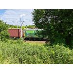 Zdjęcia użytkowników Asus ZenFone 10 Zdjęcia użytkowników Asus ZenFone 10