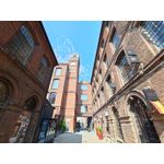 Zdjęcia użytkowników Asus ZenFone 10 Zdjęcia użytkowników Asus ZenFone 10