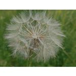 Zdjęcia użytkowników Asus ZenFone 10 Zdjęcia użytkowników Asus ZenFone 10