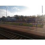 Zdjęcia użytkowników Asus ZenFone 2 Laser 5.0 Zdjęcia użytkowników Asus ZenFone 2 Laser 5.0