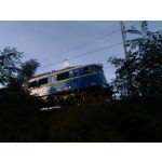 Zdjęcia użytkowników Asus ZenFone 2 Laser 5.0 Zdjęcia użytkowników Asus ZenFone 2 Laser 5.0