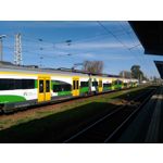 Zdjęcia użytkowników Asus ZenFone 2 Laser 5.0 Zdjęcia użytkowników Asus ZenFone 2 Laser 5.0