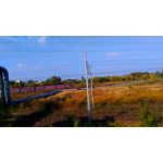 Zdjęcia użytkowników Asus ZenFone 2 Laser 5.0 Zdjęcia użytkowników Asus ZenFone 2 Laser 5.0