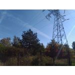 Zdjęcia użytkowników Asus ZenFone 2 Laser 5.0 Zdjęcia użytkowników Asus ZenFone 2 Laser 5.0