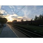 Zdjęcia użytkowników Asus ZenFone 2 Laser 5.0 Zdjęcia użytkowników Asus ZenFone 2 Laser 5.0