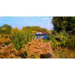 Zdjęcia użytkowników Asus ZenFone 2 Laser 5.0 Zdjęcia użytkowników Asus ZenFone 2 Laser 5.0