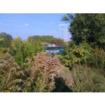 Zdjęcia użytkowników Asus ZenFone 2 Laser 5.0 Zdjęcia użytkowników Asus ZenFone 2 Laser 5.0