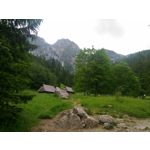 ZDJĘCIA Z TEGO TELEFONU