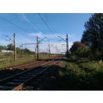 Zdjęcia użytkowników Asus ZenFone 2 Laser 5.0 Zdjęcia użytkowników Asus ZenFone 2 Laser 5.0