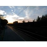 Zdjęcia użytkowników Asus ZenFone 2 Laser 5.0 Zdjęcia użytkowników Asus ZenFone 2 Laser 5.0