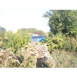 Zdjęcia użytkowników Asus ZenFone 2 Laser 5.0 Zdjęcia użytkowników Asus ZenFone 2 Laser 5.0