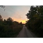 Zdjęcia użytkowników Asus ZenFone 2 Laser 5.0 Zdjęcia użytkowników Asus ZenFone 2 Laser 5.0