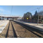 Zdjęcia użytkowników Asus ZenFone 2 Laser 5.0 Zdjęcia użytkowników Asus ZenFone 2 Laser 5.0