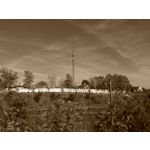 Zdjęcia użytkowników Asus ZenFone 2 Laser 5.0 Zdjęcia użytkowników Asus ZenFone 2 Laser 5.0