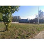 Zdjęcia użytkowników Asus ZenFone 2 Laser 5.0 Zdjęcia użytkowników Asus ZenFone 2 Laser 5.0