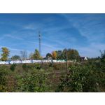 Zdjęcia użytkowników Asus ZenFone 2 Laser 5.0 Zdjęcia użytkowników Asus ZenFone 2 Laser 5.0