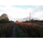 Zdjęcia użytkowników Asus ZenFone 2 Laser 5.0 Zdjęcia użytkowników Asus ZenFone 2 Laser 5.0