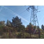 Zdjęcia użytkowników Asus ZenFone 2 Laser 5.0 Zdjęcia użytkowników Asus ZenFone 2 Laser 5.0