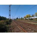 Zdjęcia użytkowników Asus ZenFone 2 Laser 5.0 Zdjęcia użytkowników Asus ZenFone 2 Laser 5.0