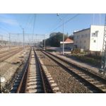 Zdjęcia użytkowników Asus ZenFone 2 Laser 5.0 Zdjęcia użytkowników Asus ZenFone 2 Laser 5.0